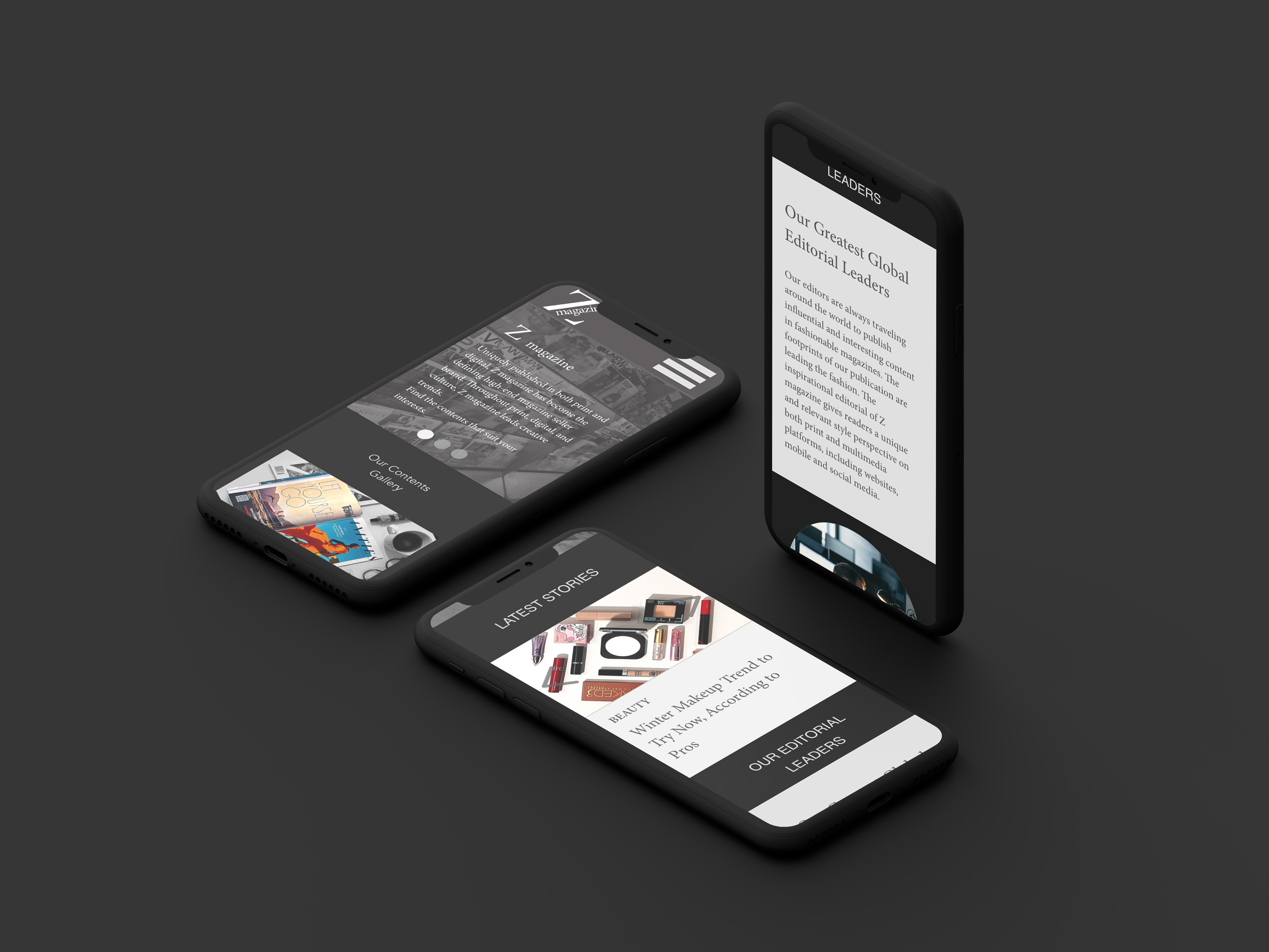 Project preview image 2